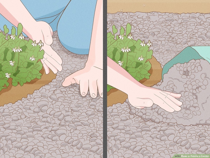 Before you can add pebbles to your soil, you need to clear the area of any dirt or weed.