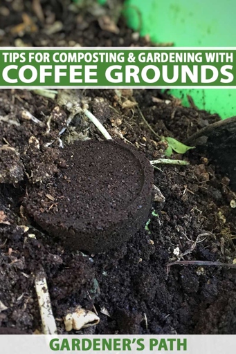 Coffee grounds are a great addition to your compost pile.