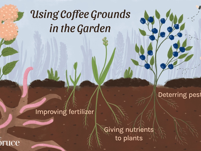 Composting with coffee grounds is a great way to add nutrients to your garden.