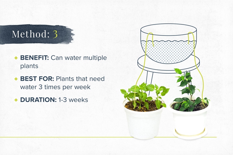 Drip feeding is a great way to water your plants if you are going to be away for a few days.