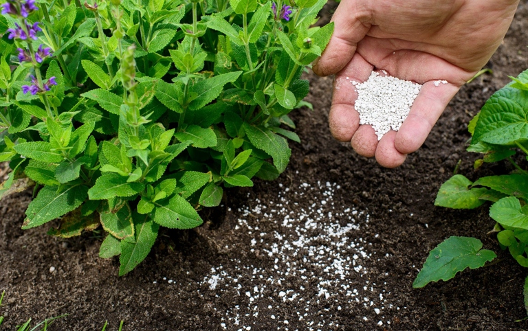 Fertilizer is a material that is added to soil to provide nutrients for plants.