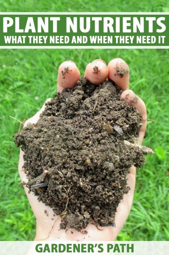 Fertilizer is a material that is added to the soil to provide essential nutrients for plant growth.