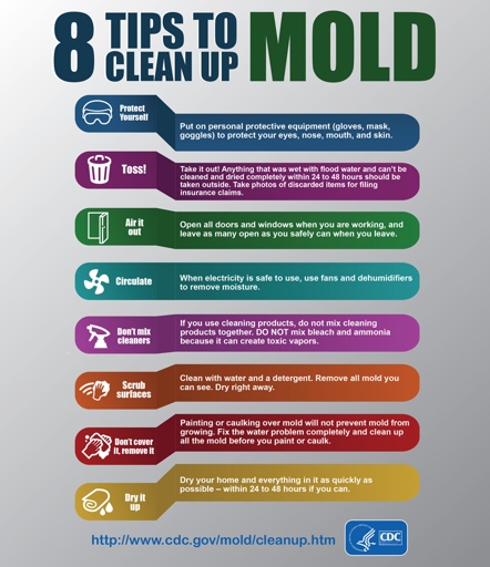 If you have excessive soil moisture, you may need to take action to get rid of mold.