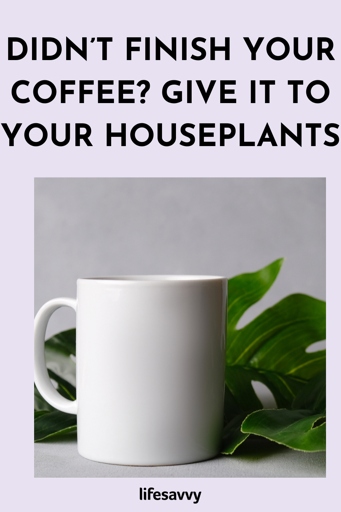 If you have leftover coffee, don't pour it down the drain. Use it to water your plants instead.