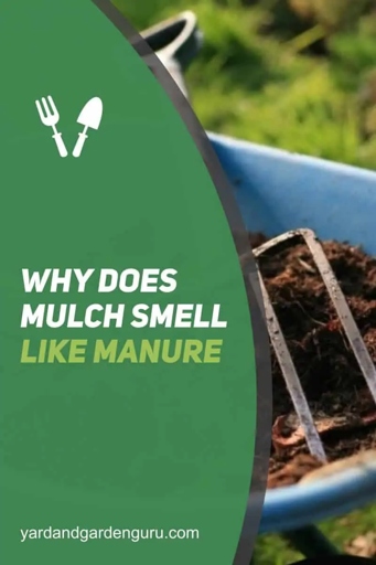 If your mulch is starting to smell bad, it might be time to remove it and start fresh.