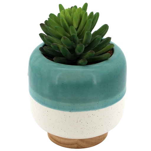If your succulent's pot is looking a little worse for wear, it's time to give it a makeover.