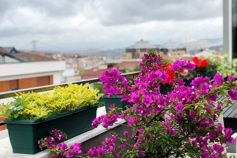 If you're lucky enough to have a sunny balcony, you can take advantage of the warm weather and extra sunlight by growing flowers.
