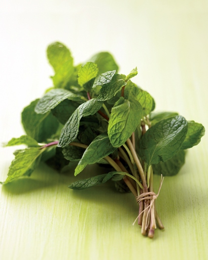 Mint is a versatile herb that can be used in many different dishes, but did you know that there are different mint varieties?