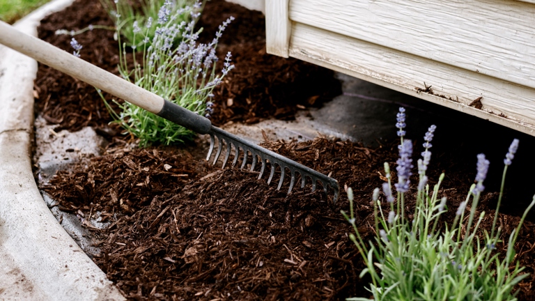 Mulch is made up of decomposed leaves, grass, and other organic matter, which can produce a strong, unpleasant smell.