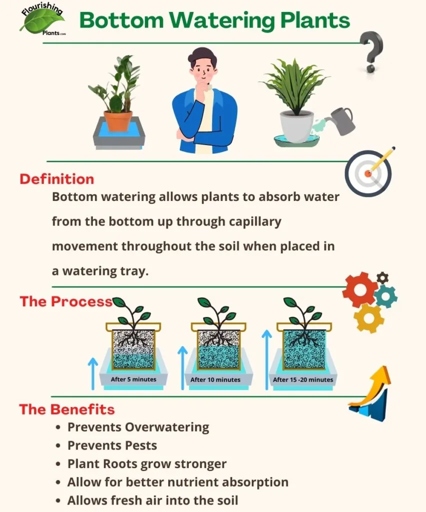 One factor that influences watering frequency is the type of potting mix used.