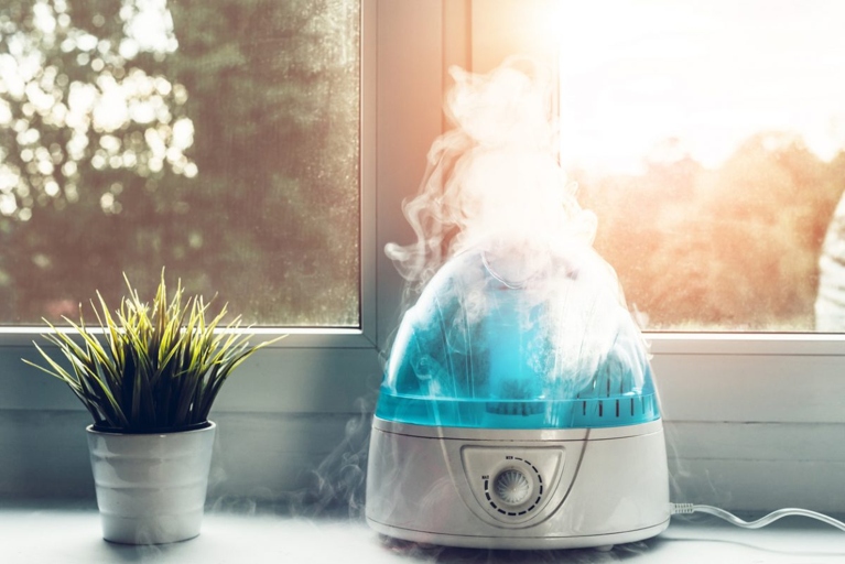 One major benefit of using a humidifier is that it can help your plants to absorb water more effectively.
