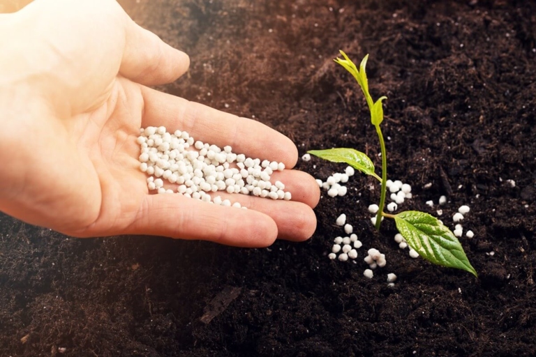 One of the most common mistakes when it comes to fertilizer application is not using enough.