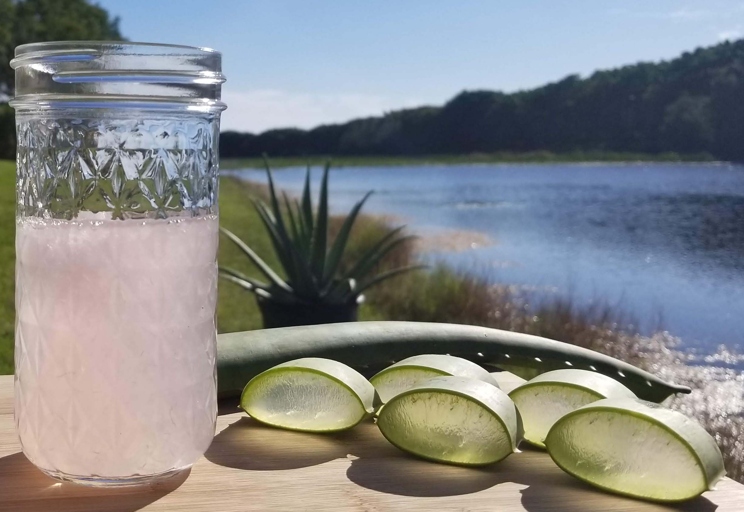 One possible reason your aloe vera is turning pink is because of too much sun exposure.