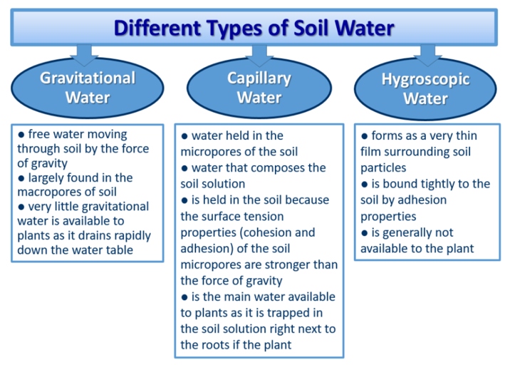 One possible solution is to check the soil moisture and water accordingly.