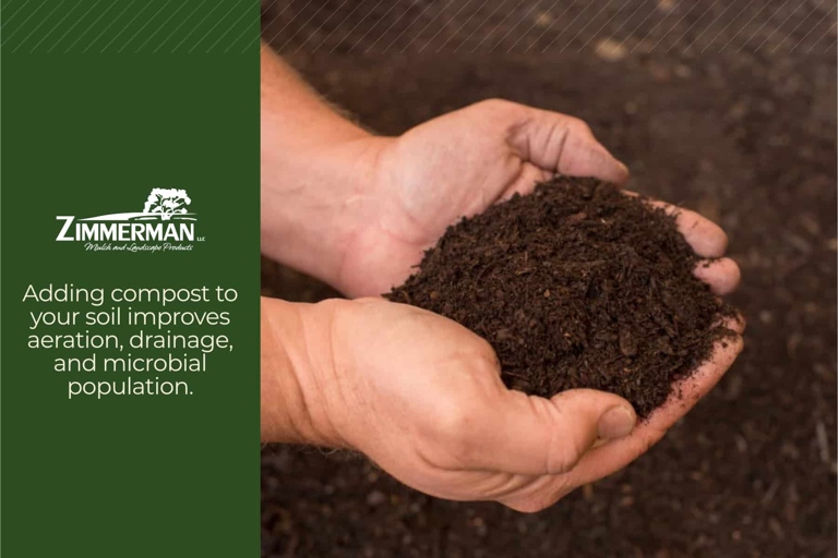 One way to fix a lack of nutrients is to add compost or other organic matter to the soil.