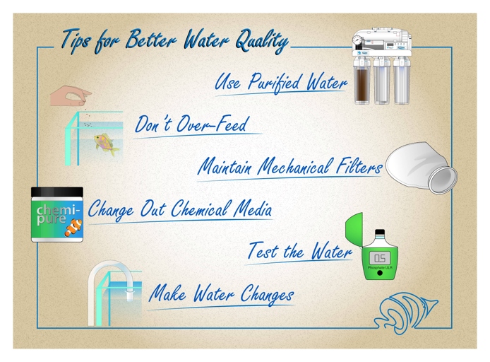 One way to improve the quality of your water is to add a filter.