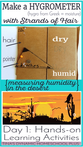 One way to measure humidity in your home is to use a hygrometer.