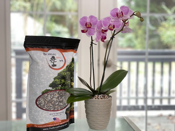 Orchids have very specific potting mix requirements and cannot be potted in cactus soil.