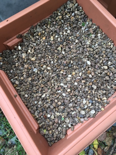Pebbles can be used in many ways to improve the quality of your soil.