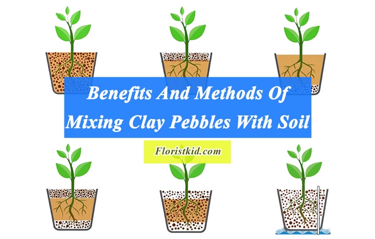 Pebbles can be used in many ways to improve your soil.