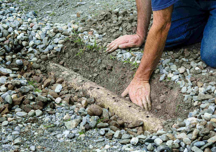 Pebbles can help improve drainage in your soil.
