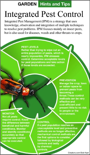 Pest control is an important measure to take in order to keep your home and garden free of pests.