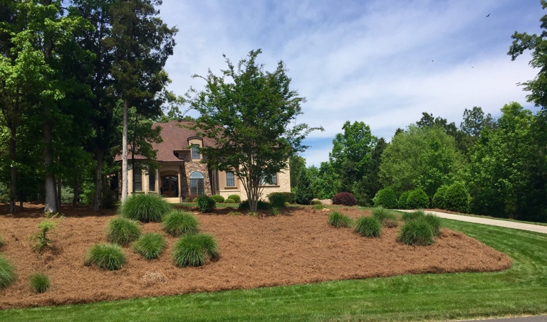 Pine tree bark and straws make great mulch because they help the soil retain moisture and prevent erosion.