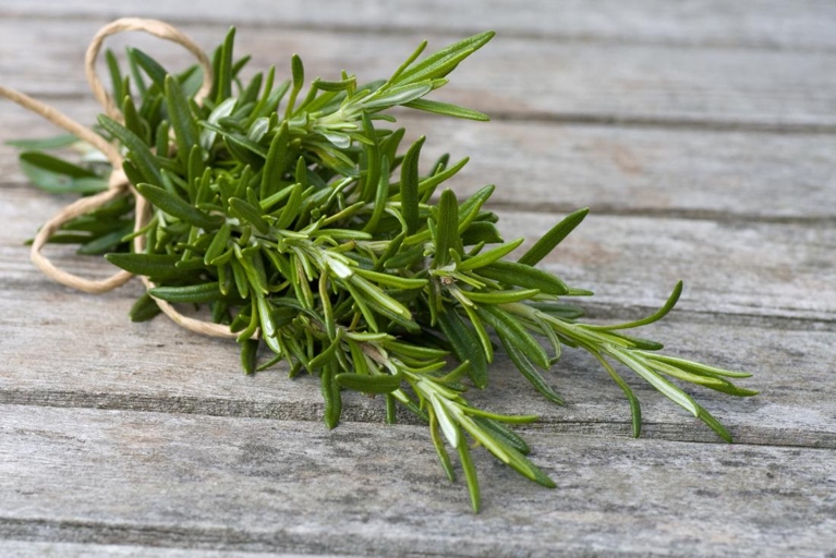 Rosemary is a fragrant, evergreen herb that has many culinary and medicinal uses.