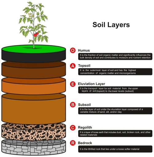 Soil is a natural body consisting of layers of mineral particles that support plant life.