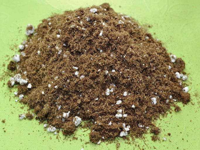 The best soil for spider plant is a mix of peat moss, perlite, and vermiculite.