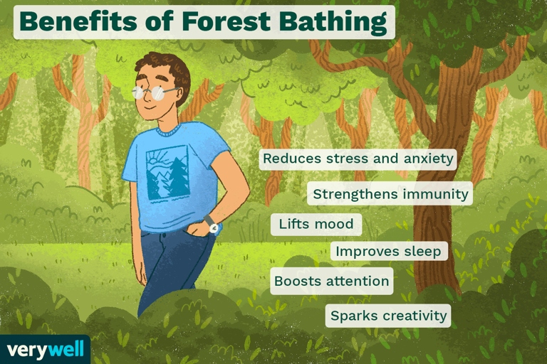 The forest Bath Effect is a term used to describe the positive effects that plants have on our health.