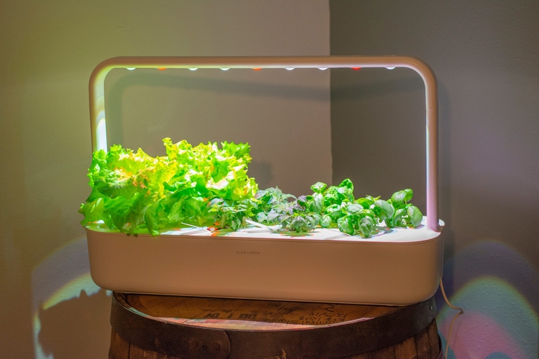 The main advantage of growing vegetables indoors with grow lights is that you can control the environment.