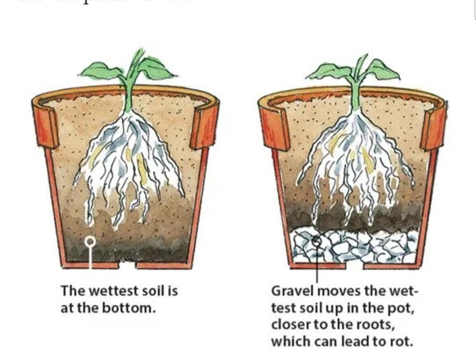 Then, add water until the mixture is damp but not wet. To make a good drainage system, start by mixing equal parts perlite and potting soil. Finally, place your plants in the mixture and allow the water to drain out.