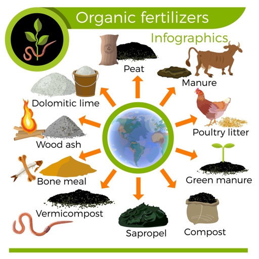 There are a few different types of fertilizer that can be used on a ZZ plant, including organic options like compost or manure, as well as chemical options like Miracle-Gro.
