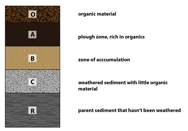 There are three main types of soil- sand, silt, and clay- and each one has different properties.