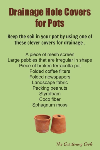 To avoid waterlogging, make sure the pot has drainage holes and only water when the soil is dry to the touch.