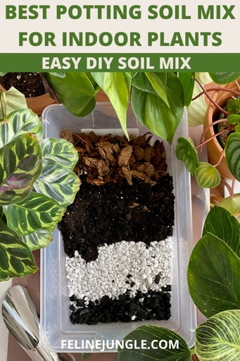 To get started, you'll need a potting soil mixture for your houseplants.