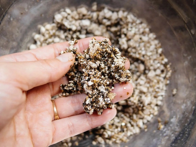 To get the best potting soil, mix equal parts of sand, peat moss, and perlite.
