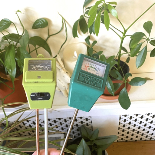 To know how much water your ZZ plant needs, you will need to measure the weight of the pot.
