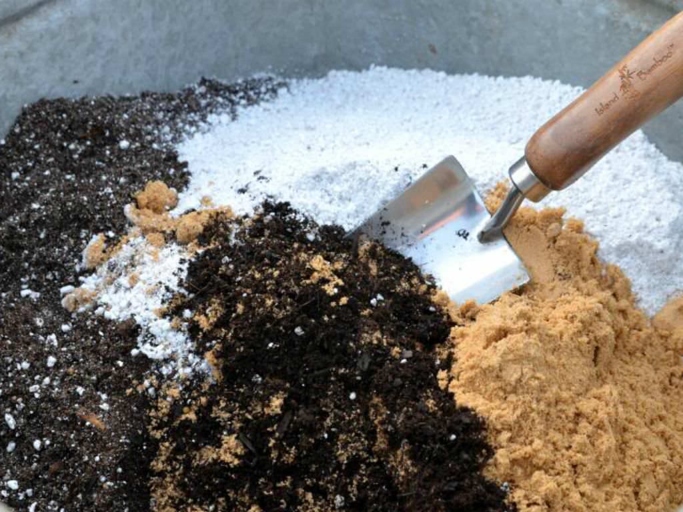To make your own cactus potting mix, start with a base of one part perlite to two parts cactus potting soil.