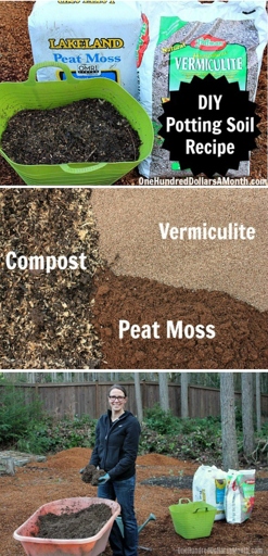 To prep the potting medium, mix together 1 part peat moss and 1 part perlite.