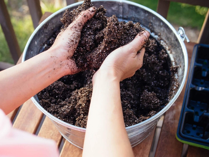 To prepare the soil mix, combine one part peat moss and one part perlite.
