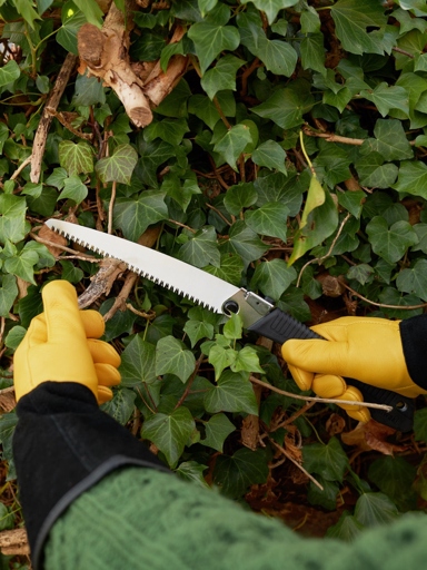 To trim brown leaf tips, use a sharp knife or scissors to cut off the brown tips at an angle.