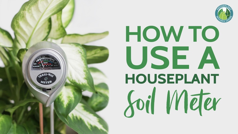To use a humidity meter, simply insert the probe into the soil of your plant and wait a few seconds for a reading.