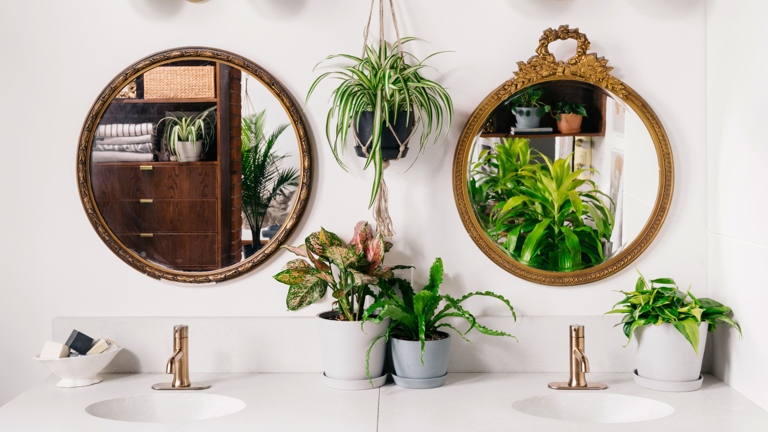 When choosing plants for your bathroom, be sure to select those that thrive in high humidity environments and can tolerate low light conditions.