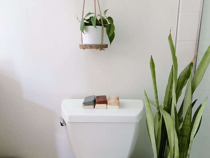Yes, you can keep plants in the bathroom, including succulents.