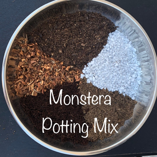 You can make your own soil mix for Monstera by combining two parts potting soil, one part perlite, and one part sphagnum peat moss.